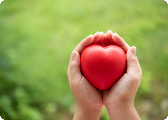 직무 소양 교육